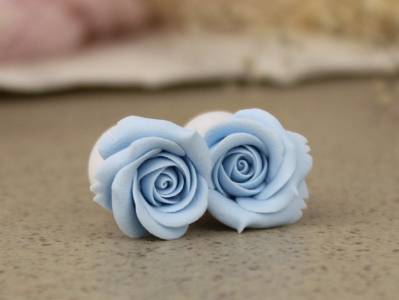 Sky blue rose ear plug 3-20mm